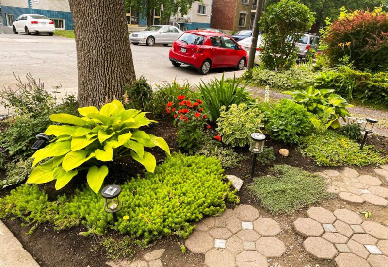 2315 Av. Madison  Montréal (Côte-des-Neiges/Notre-Dame-de-Grâce) (Montréal)