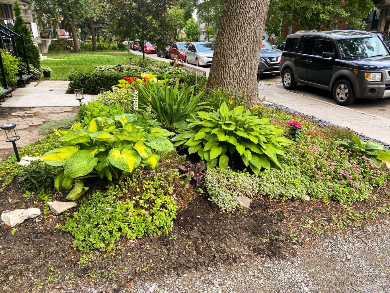 2315 Av. Madison  Montréal (Côte-des-Neiges/Notre-Dame-de-Grâce) (Montréal)