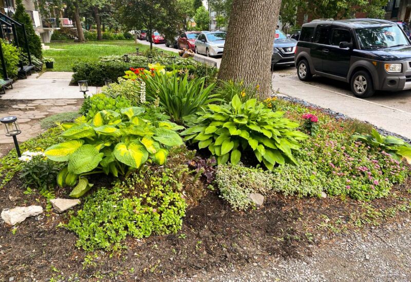 2315 Av. Madison  Montréal (Côte-des-Neiges/Notre-Dame-de-Grâce) (Montréal)