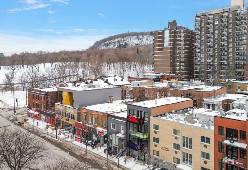 4536 Av. du Parc  Montréal (Le Plateau-Mont-Royal) (Montréal)