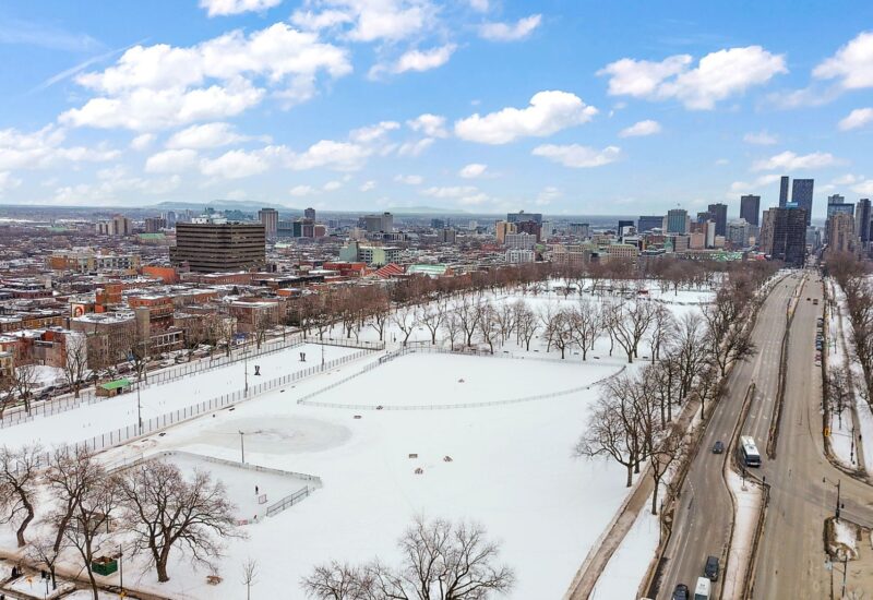 4536 Av. du Parc  Montréal (Le Plateau-Mont-Royal) (Montréal)