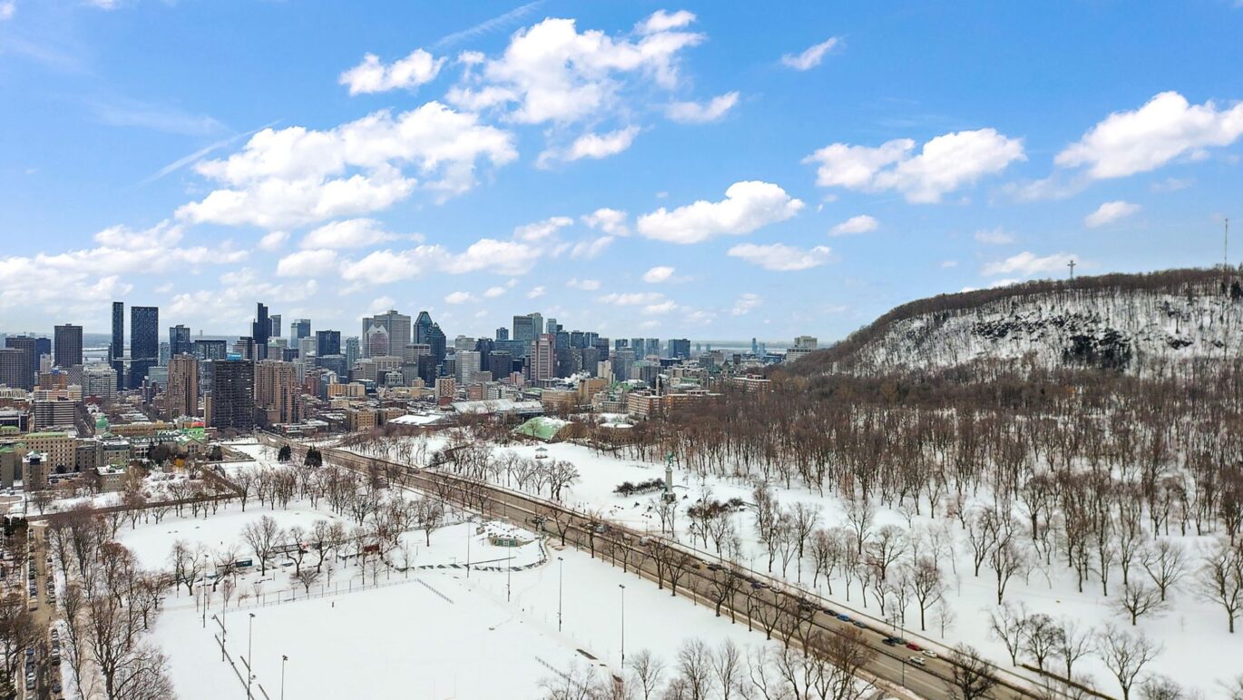 4536 Av. du Parc  Montréal (Le Plateau-Mont-Royal) (Montréal)