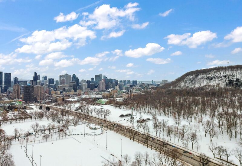 4536 Av. du Parc  Montréal (Le Plateau-Mont-Royal) (Montréal)