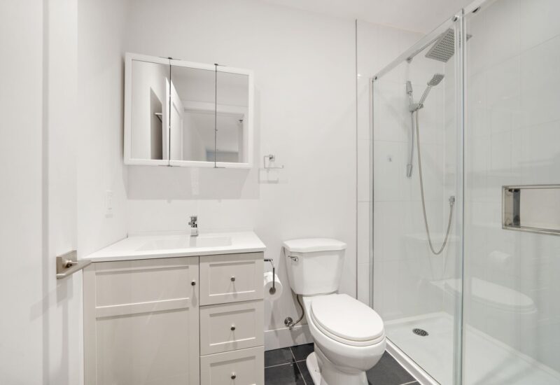 4536 Av. du Parc  Montréal (Le Plateau-Mont-Royal) (Montréal)