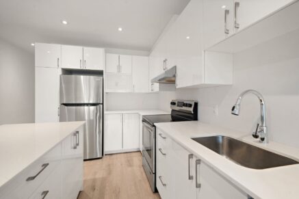 4536 Av. du Parc  Montréal (Le Plateau-Mont-Royal) (Montréal)