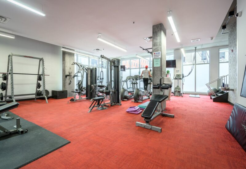 950 Rue Notre-Dame O. #305 Montréal (Le Sud-Ouest) (Montréal)