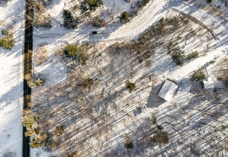 Ch. Cooledge Austin (Estrie)