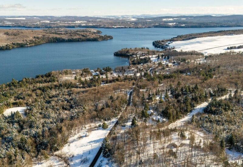 Ch. Cooledge Austin (Estrie)