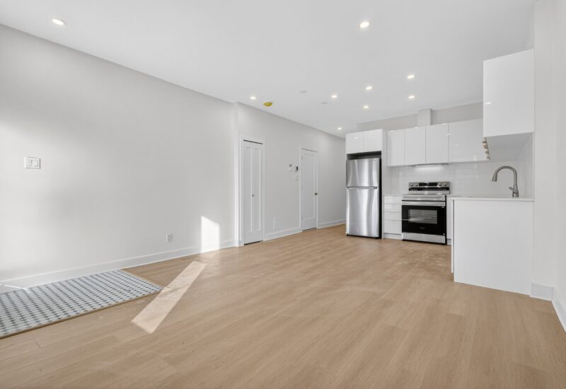 305 Rue Delinelle  Montréal (Le Sud-Ouest) (Montréal)