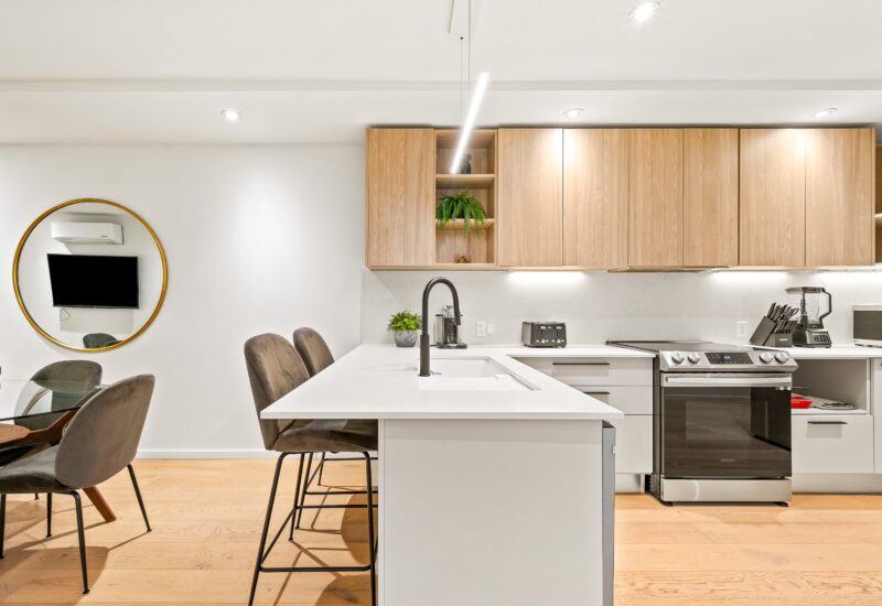 1285 Rue Rachel E. Montréal (Le Plateau-Mont-Royal) (Montréal)