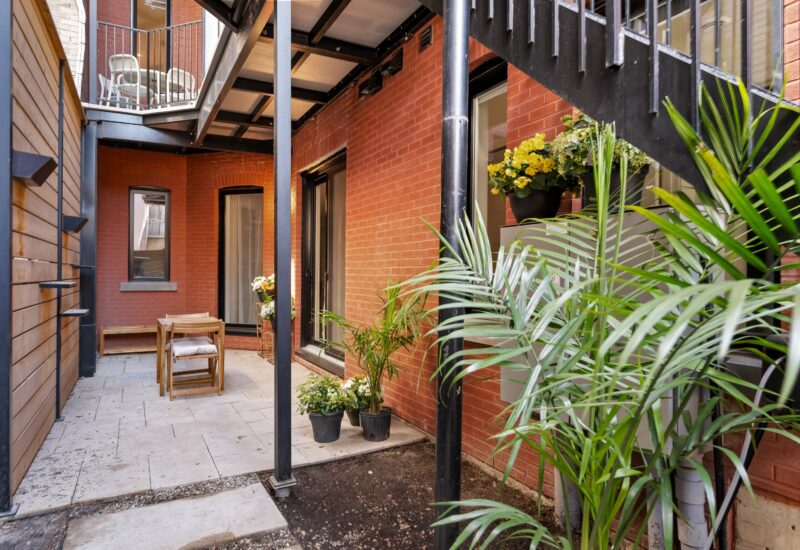 1285 Rue Rachel E. Montréal (Le Plateau-Mont-Royal) (Montréal)