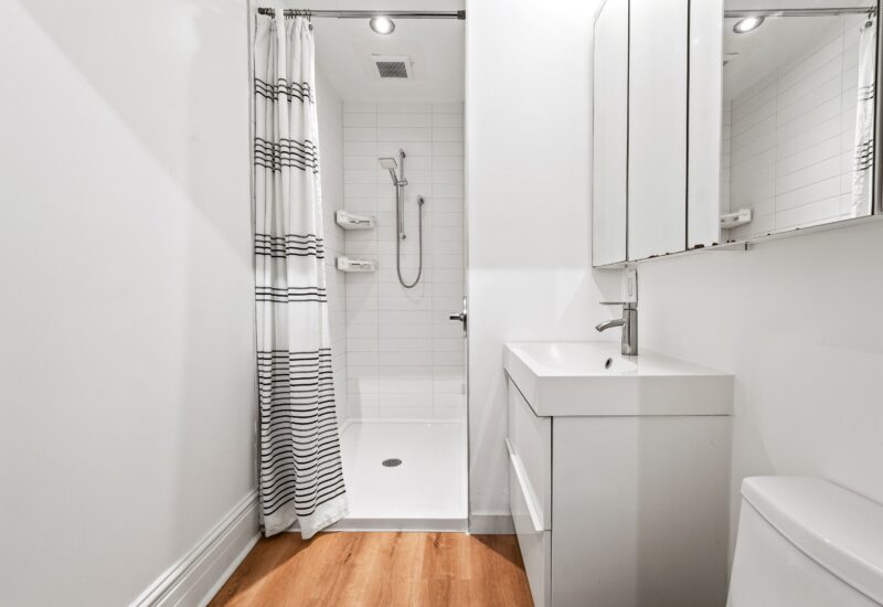 454 Rue Marie-Anne E.  Montréal (Le Plateau-Mont-Royal) (Montréal)