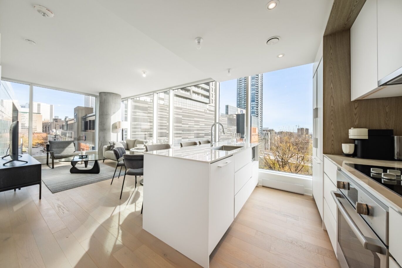 1020 Rue de la Montagne #705  Montréal (Ville-Marie) (Montréal)