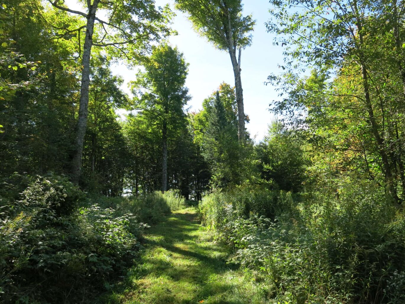 855 Route 112  Dudswell (Estrie)