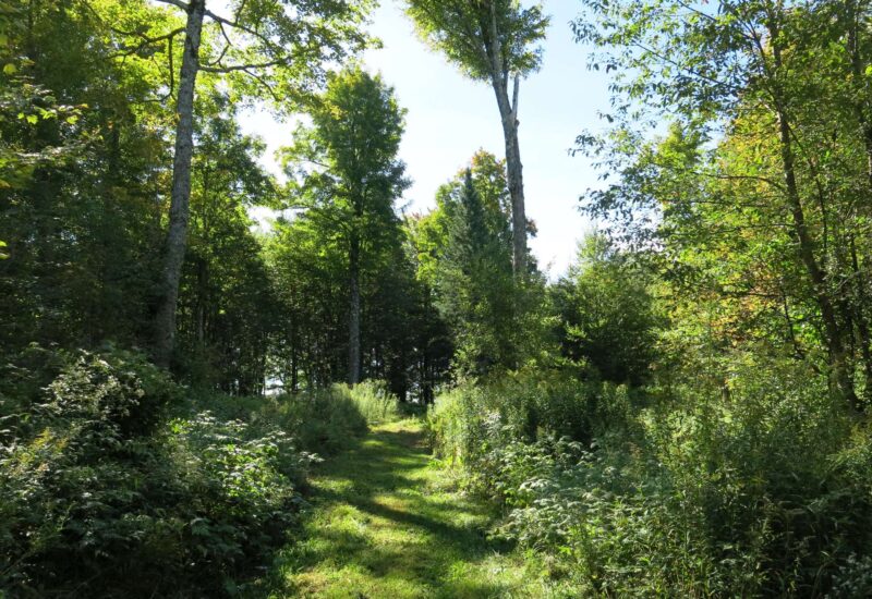 855 Route 112  Dudswell (Estrie)