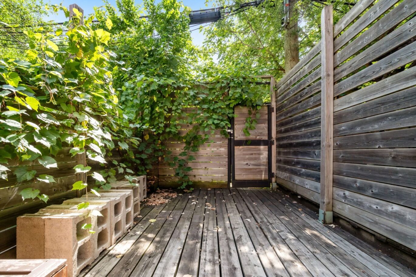 2620 Rue Frontenac Montréal (Ville-Marie) (Montréal)