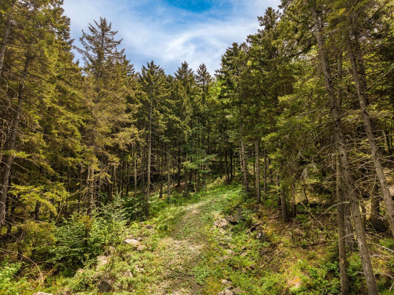 Ch. des Appalaches Bolton-Ouest (Estrie)