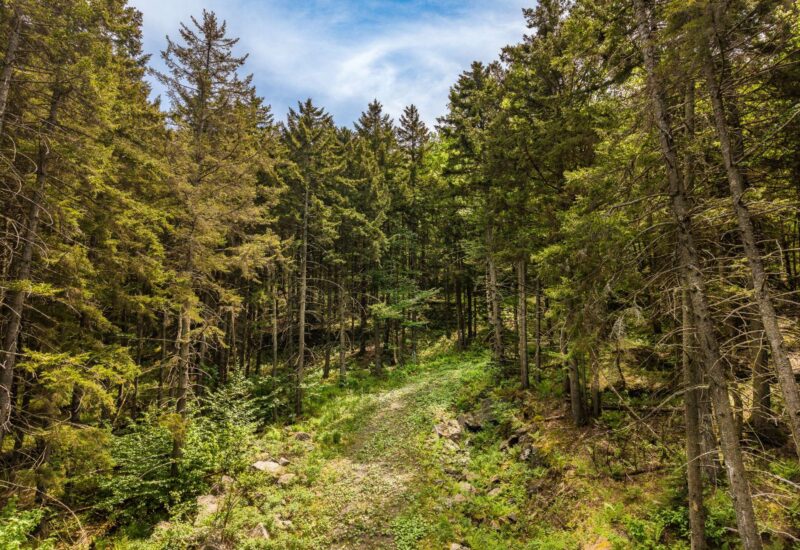 Ch. des Appalaches Bolton-Ouest (Estrie)
