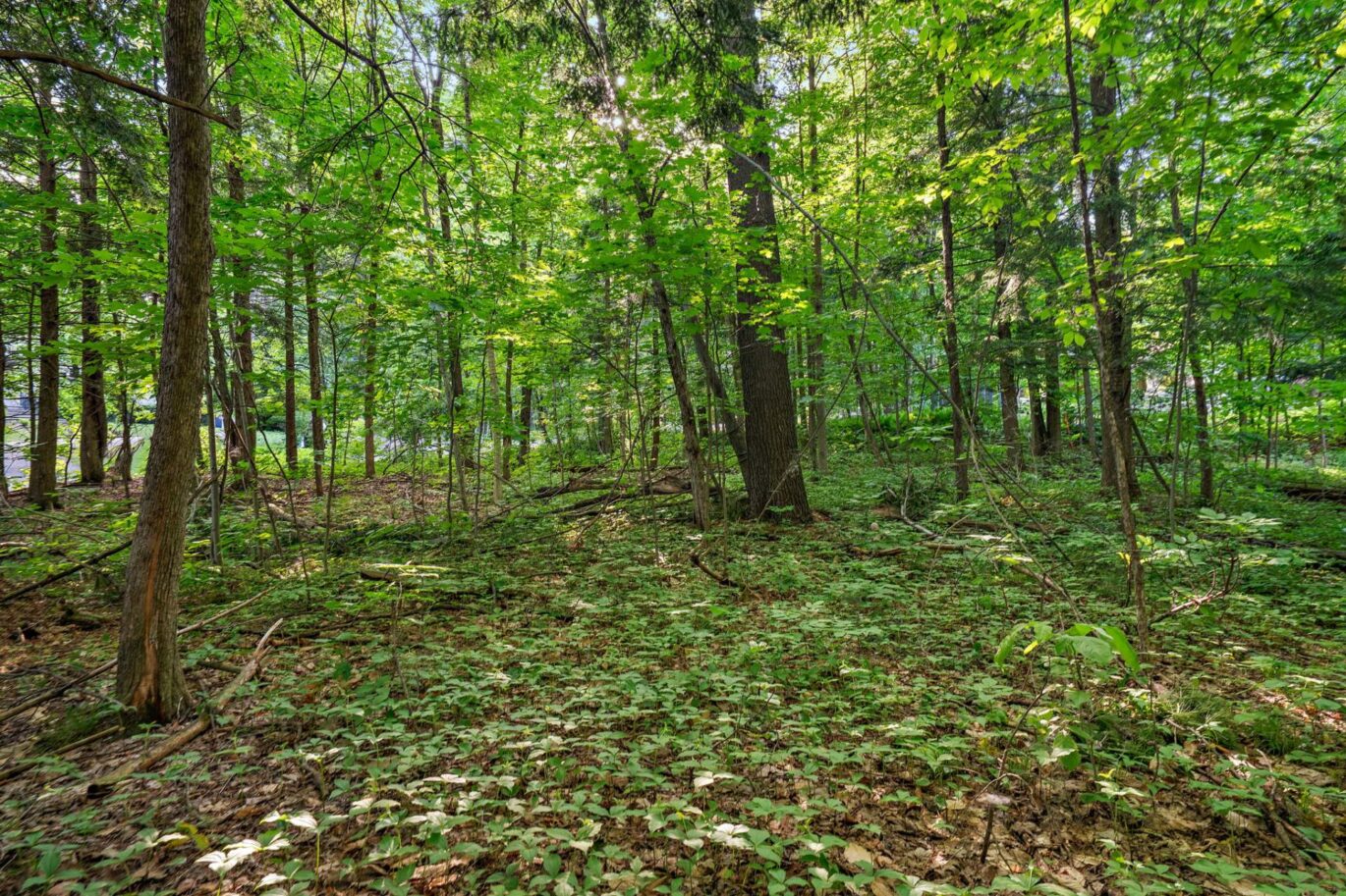 1 Rue Marcel-Giguère Blainville (Laurentides)