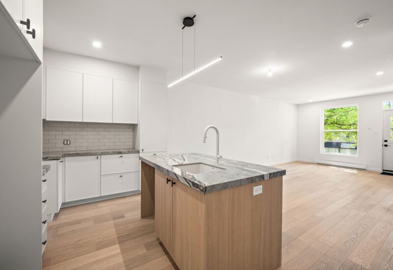 4717 Av. Papineau Montréal (Le Plateau-Mont-Royal) (Montréal)
