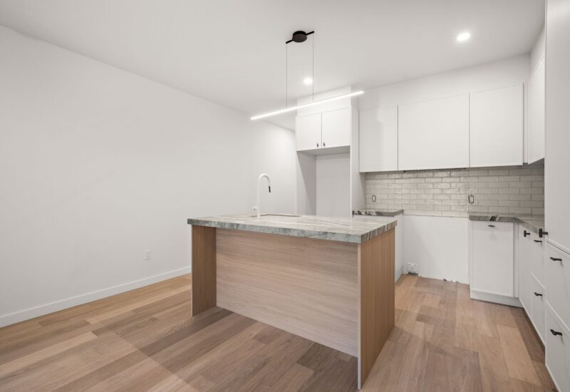 4717 Av. Papineau Montréal (Le Plateau-Mont-Royal) (Montréal)
