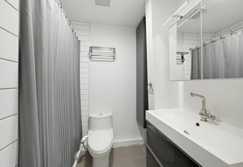 4471 Rue Parthenais  Montréal (Le Plateau-Mont-Royal) (Montréal)