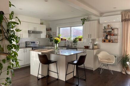 4267 Rue Ontario E. Montréal (Mercier/Hochelaga-Maisonneuve) (Montréal)