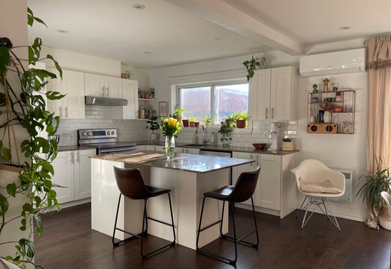 4267 Rue Ontario E.  Montréal (Mercier/Hochelaga-Maisonneuve) (Montréal)