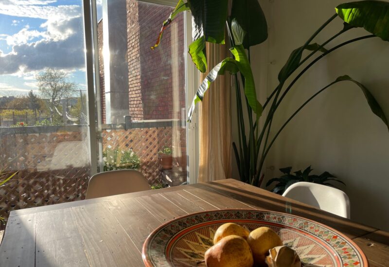 4267 Rue Ontario E.  Montréal (Mercier/Hochelaga-Maisonneuve) (Montréal)