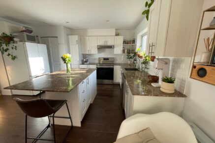 4267 Rue Ontario E. Montréal (Mercier/Hochelaga-Maisonneuve) (Montréal)
