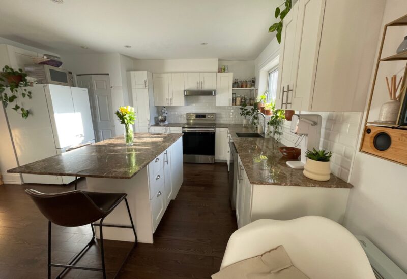 4267 Rue Ontario E.  Montréal (Mercier/Hochelaga-Maisonneuve) (Montréal)