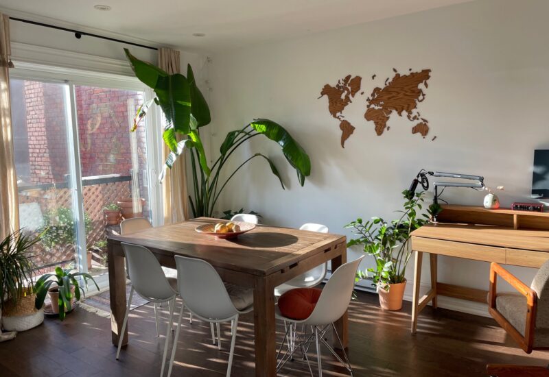 4267 Rue Ontario E.  Montréal (Mercier/Hochelaga-Maisonneuve) (Montréal)