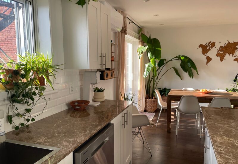 4267 Rue Ontario E.  Montréal (Mercier/Hochelaga-Maisonneuve) (Montréal)