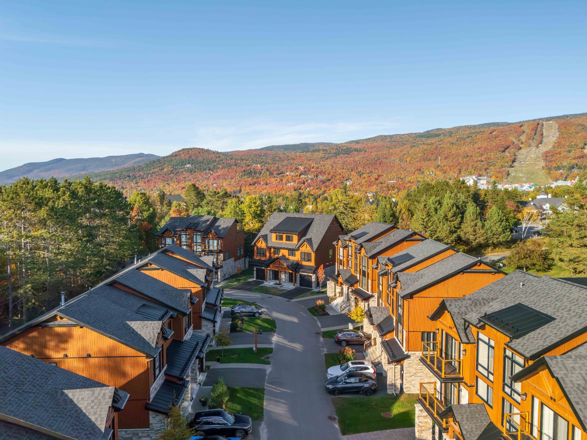 1225 Allée du Géant #33 Mont-Tremblant (Laurentides) — photo 3