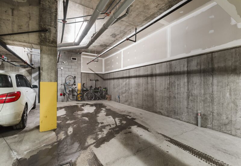 25 Rue Bélanger #302 Montréal (Rosemont/La Petite-Patrie) (Montréal)