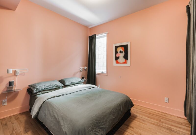 25 Rue Bélanger #302 Montréal (Rosemont/La Petite-Patrie) (Montréal)