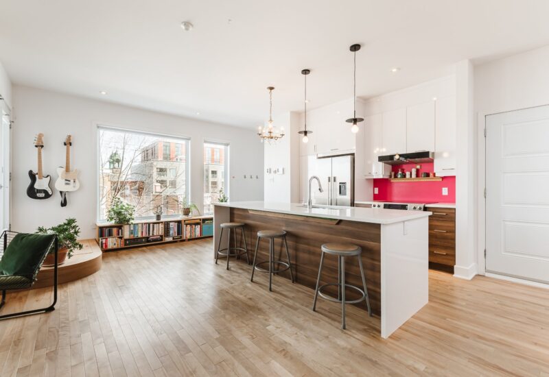 25 Rue Bélanger #302 Montréal (Rosemont/La Petite-Patrie) (Montréal)