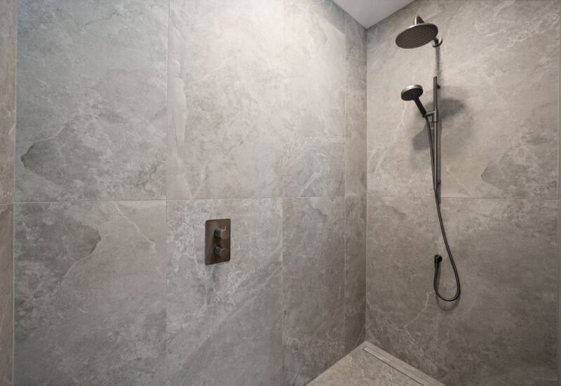4715 Av. Papineau Montréal (Le Plateau-Mont-Royal) (Montréal)