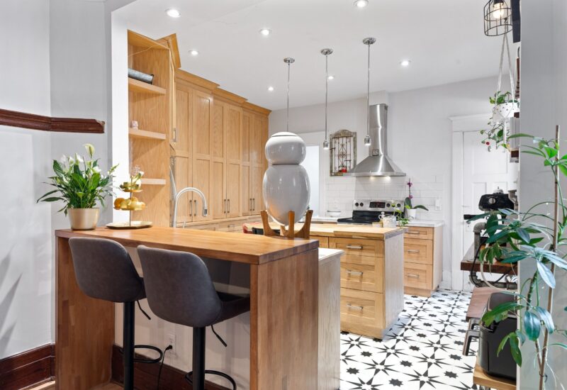 4412 Av. Christophe-Colomb Montréal (Le Plateau-Mont-Royal) (Montréal)
