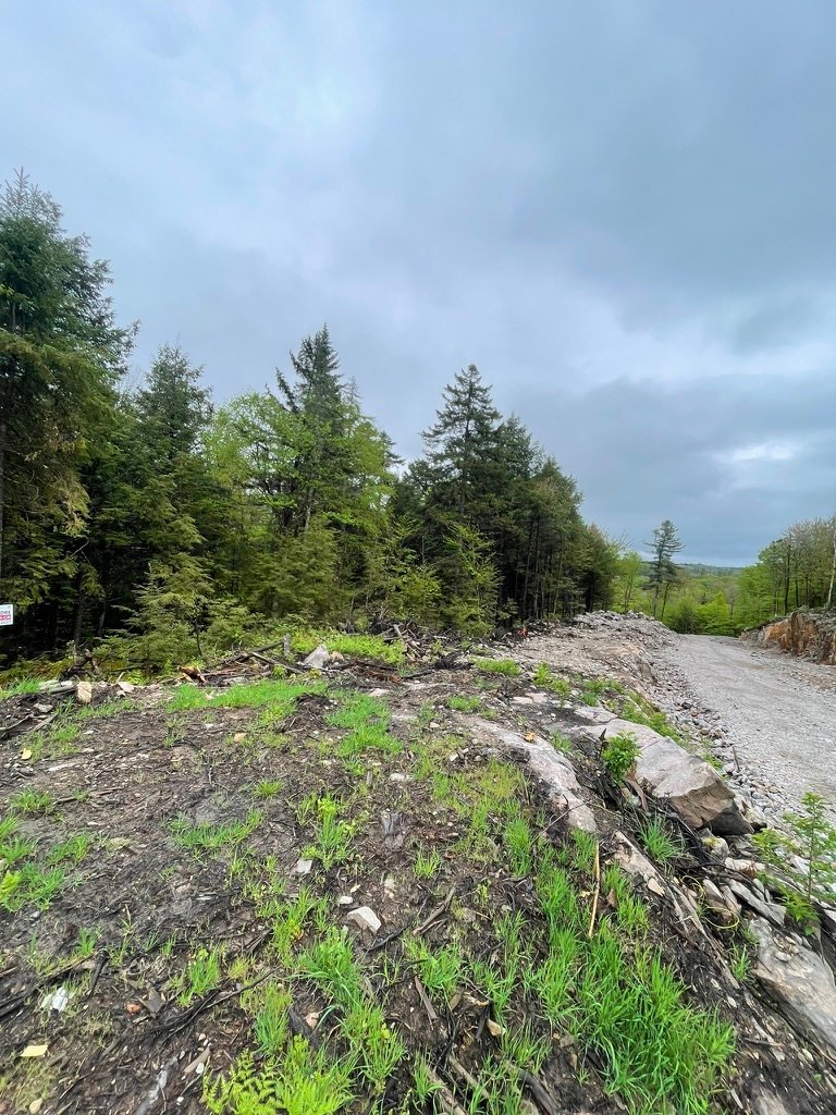 Rue de Singapour Brownsburg-Chatham (Laurentides)