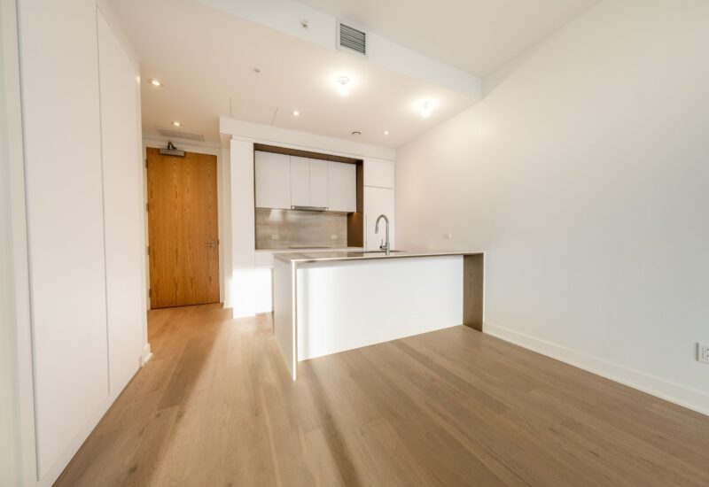 1020 Rue de la Montagne #3508 Montréal (Ville-Marie) (Montréal)