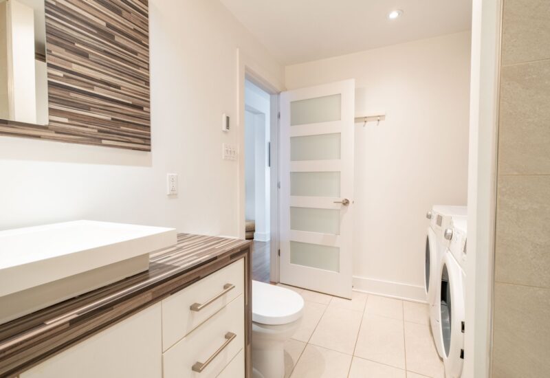 1443 Rue Viau Montréal (Mercier/Hochelaga-Maisonneuve) (Montréal)