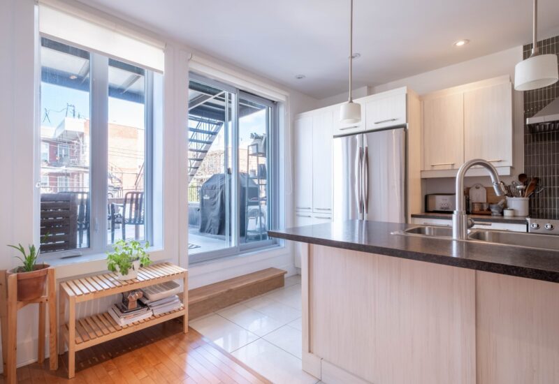 1443 Rue Viau Montréal (Mercier/Hochelaga-Maisonneuve) (Montréal)