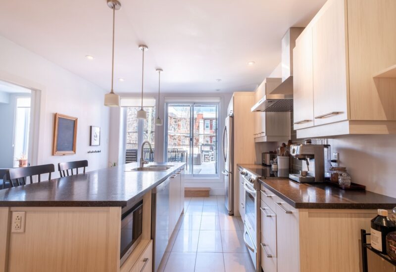 1443 Rue Viau Montréal (Mercier/Hochelaga-Maisonneuve) (Montréal)