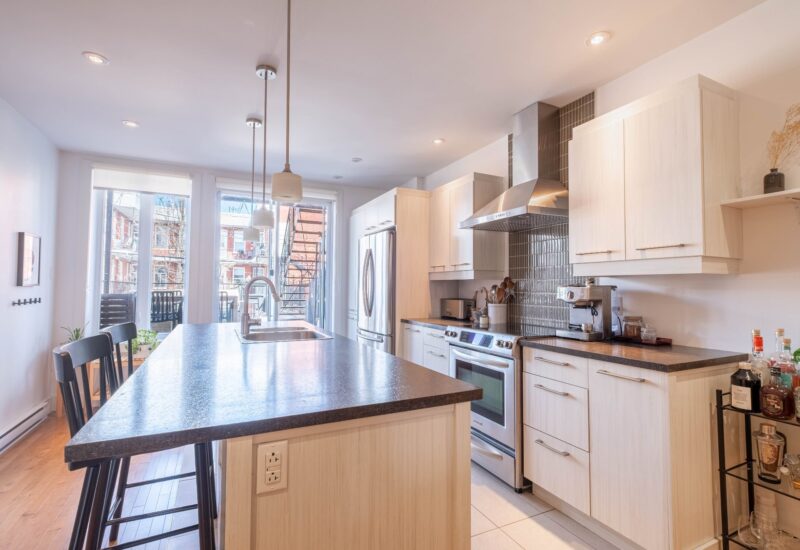 1443 Rue Viau Montréal (Mercier/Hochelaga-Maisonneuve) (Montréal)