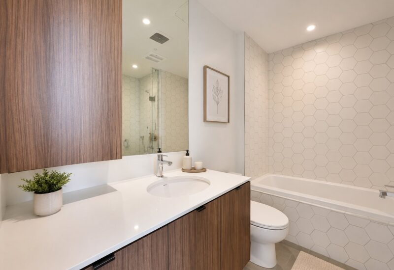 1740 Rue St-Patrick #904  Montréal (Le Sud-Ouest) (Montréal)