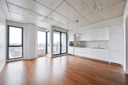 1740 Rue St-Patrick #904  Montréal (Le Sud-Ouest) (Montréal)
