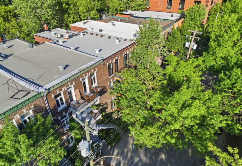 5203 Rue Marquette  Montréal (Le Plateau-Mont-Royal) (Montréal)