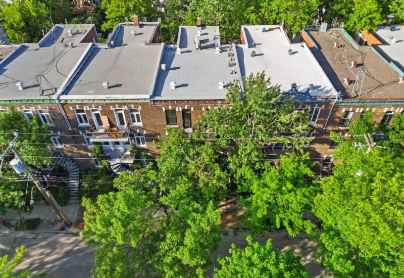 5203 Rue Marquette  Montréal (Le Plateau-Mont-Royal) (Montréal)