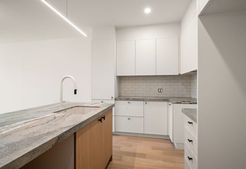 4723 Av. Papineau Montréal (Le Plateau-Mont-Royal) (Montréal)